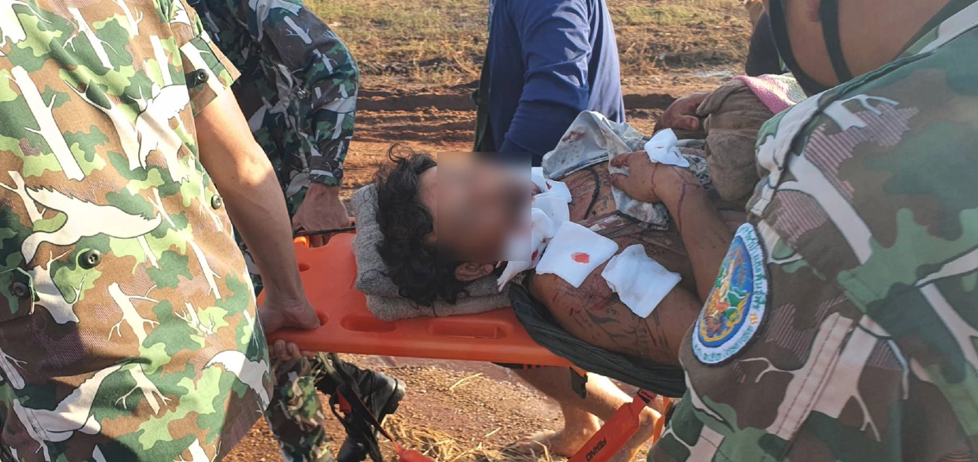 เสือโคร่ง3ตัว รุมขย้ำชาวบ้านรอดตายหวุดหวิด สุนัขเข้ามาช่วยตาย 2