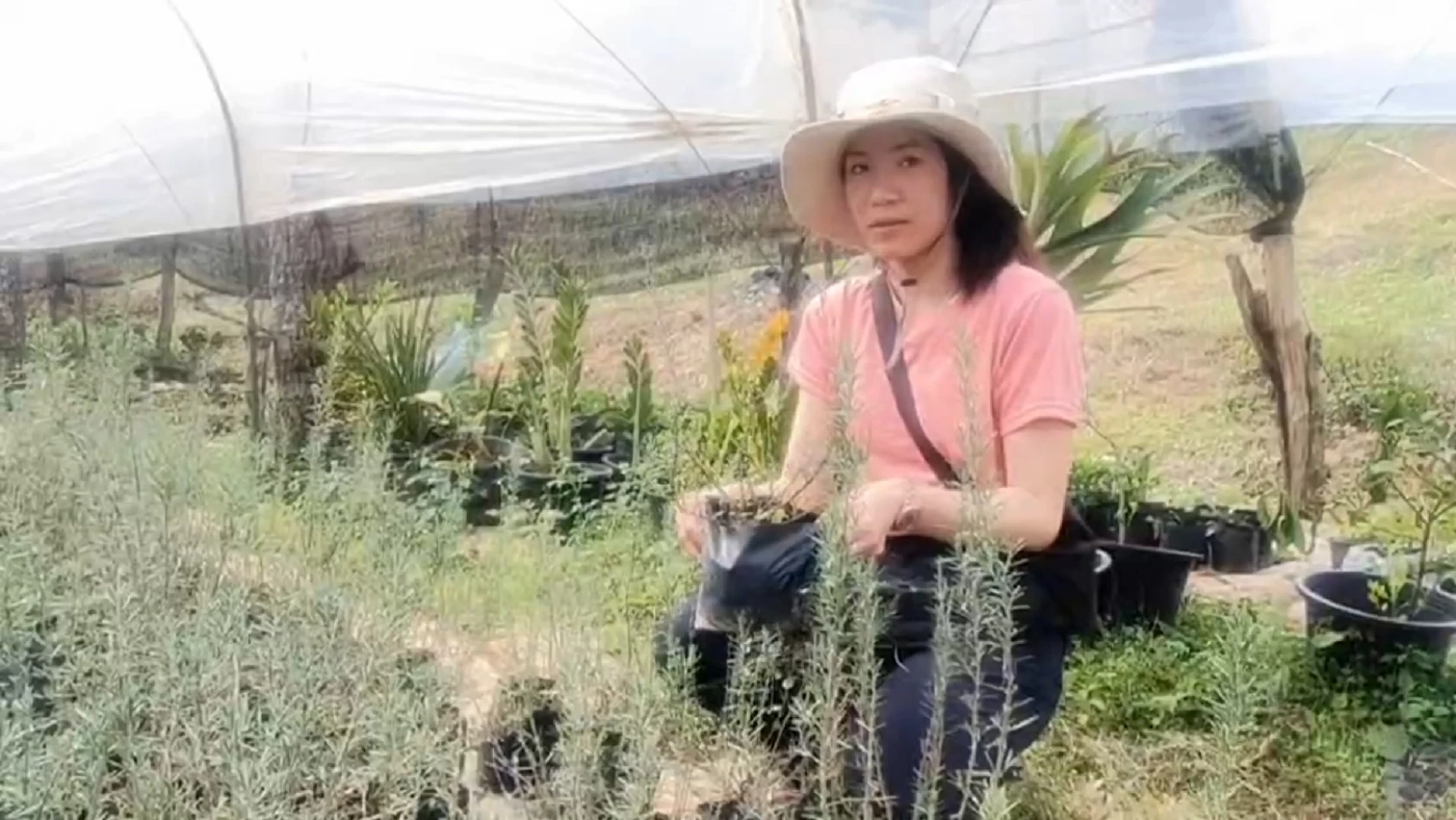 ปลูก 'โรสแมรี่' ขายออนไลน์พยุงรายได้สู้โควิด