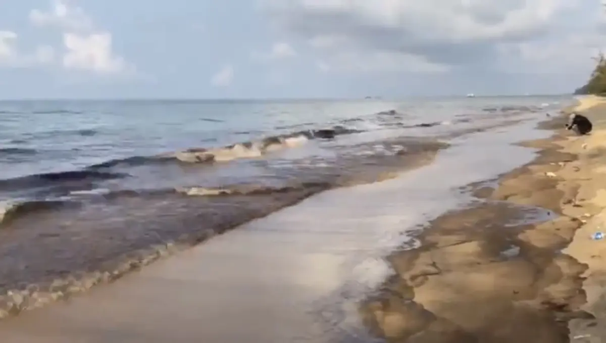 คราบน้ำมันสีดำทะลัก ส่งกลิ่นเหม็นทั่วหาดแม่รำพึง-แม่ค้าโอดนทท.หนี