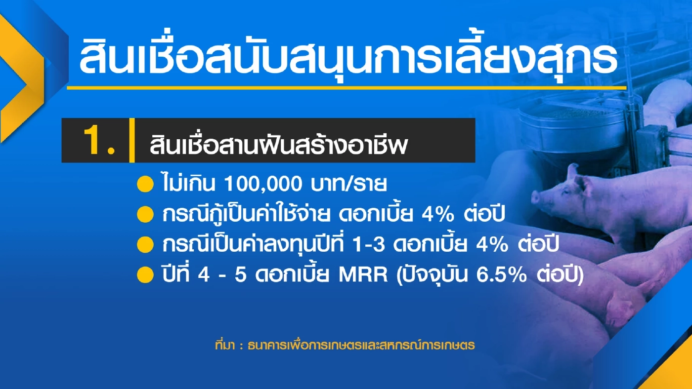 ธ.ก.ส. อัด 3 หมื่นล้าน ปล่อยกู้ผู้เลี้ยงหมู