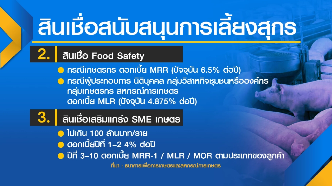 ธ.ก.ส. อัด 3 หมื่นล้าน ปล่อยกู้ผู้เลี้ยงหมู