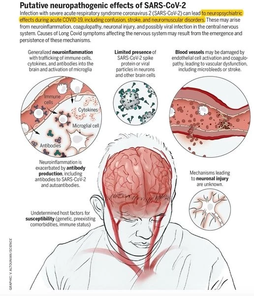นพ.ธีระ เผย โอมิครอน ถล่ม เอเชียหนัก อินเดีย-ญี่ปุ่น อ่วม