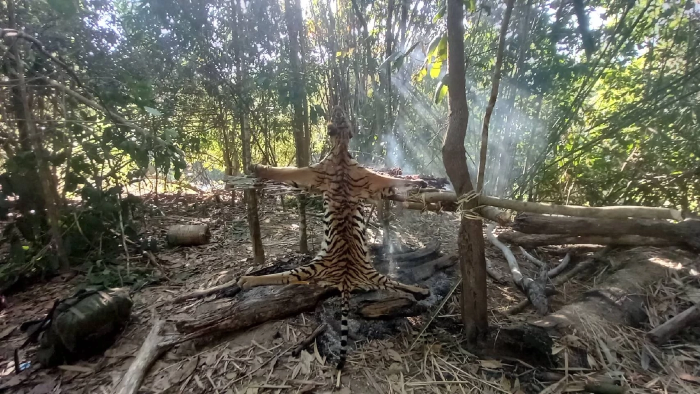 ค้นบ้าน5พรานยิงเสือโคร่ง แจ้งเพิ่มรวม11ข้อหา