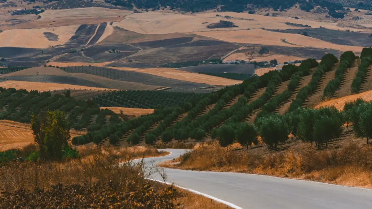 พื้นที่ผลิตไวน์อาเล็งแตฌู (Alentejo Wine Region), โปรตุเกส