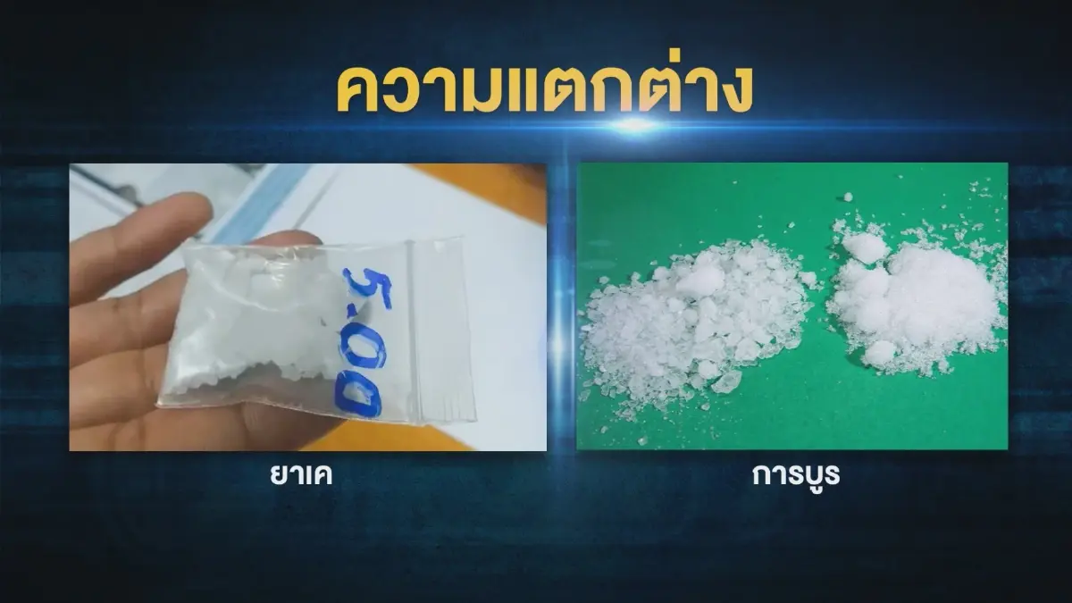 อ.อ๊อด ชี้ “การบูร - ไอซ์” แค่กลิ่นก็แยกแยะได้