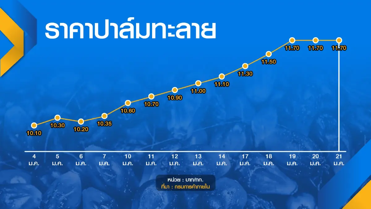 รัฐคาดราคาปาล์มขวดลดลง ก.พ.นี้ เนื่องจากผลผลิตเข้าสู่ตลาด