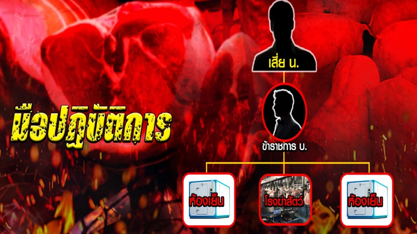 สาวลึก "ขบวนการหากินกับหมู" ดันราคาหมูแพง