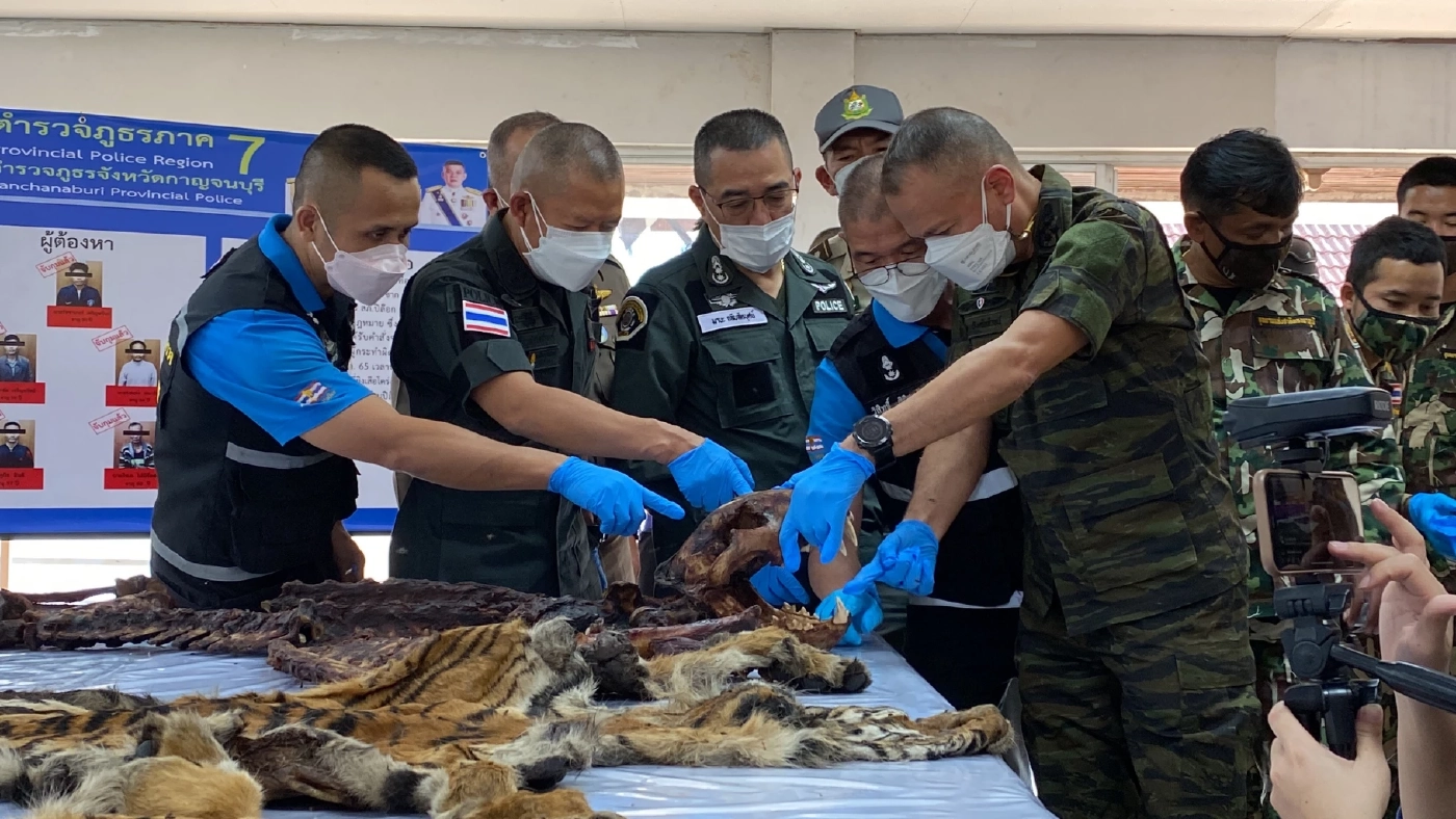 รอง ผบ.ตร. แถลงรวบ 5 มือยิงเสือโคร่งกลางป่าอุทยานฯ พร้อมแจ้ง 9 ข้อหนัก