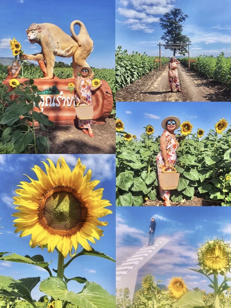 วันเด็กปีนี้ ชวนเที่ยวชมทุ่งทานตะวันจ.ลพบุรี ร่วมสนุกกับกิจกรรมสุดพิเศษ!