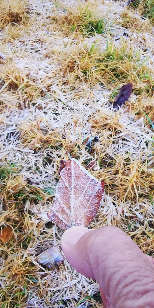 สวยงาม! ดอยอินทนนท์เกิดปรากฎการณ์ "แม่คะนิ้ง" ชุดแรกของปี 2565