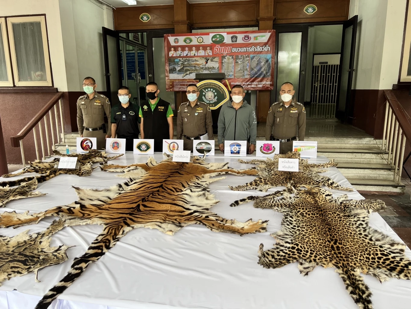 ตำรวจ ปทส. จับแก๊งค้าสัตว์ป่าและซาก พร้องของกลางจำนวนมากที่กาญจนบุรี