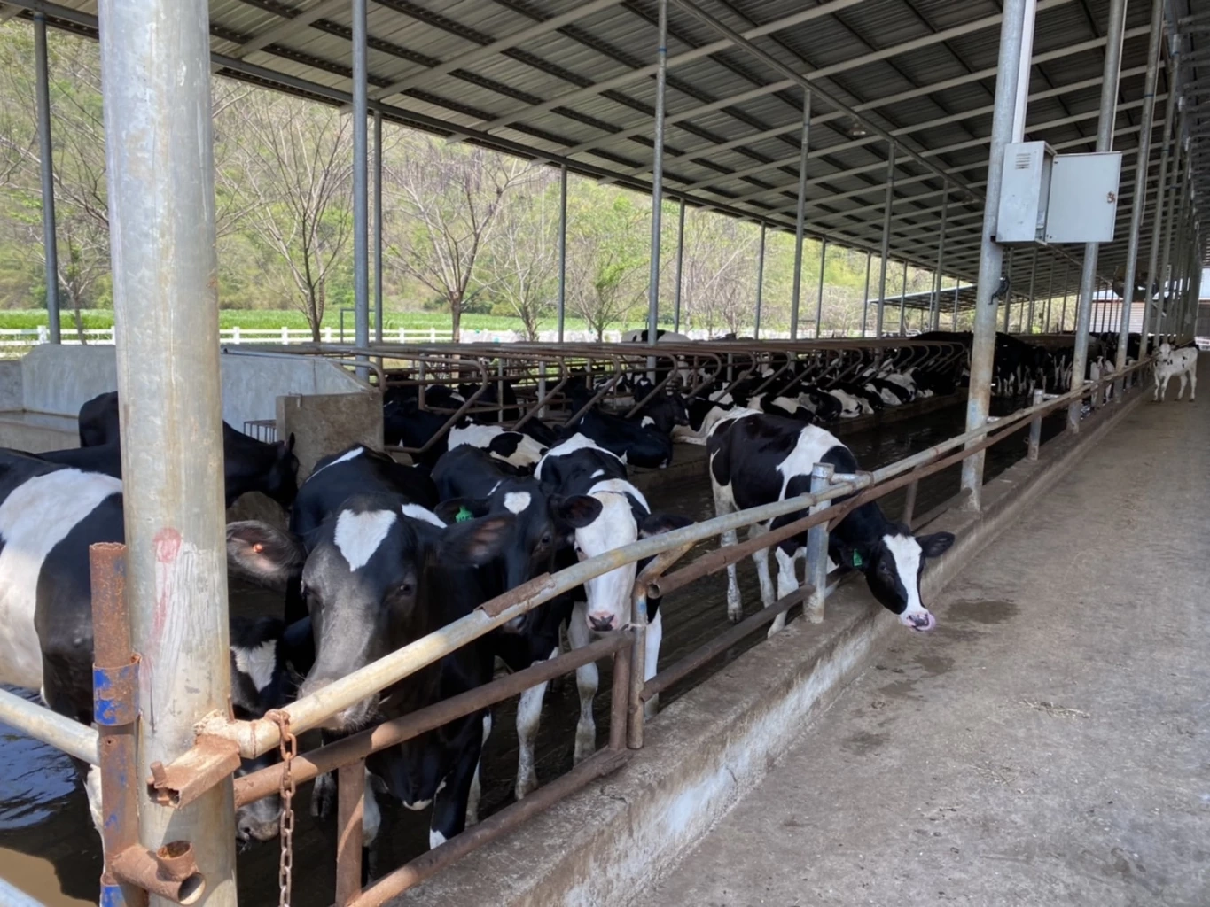 ทวี สอดส่อง นำ สตาร์ทอัพ 3 จังหวัดชายแดนใต้ ศึกษาสมาร์ทฟาร์ม มุ่งพัฒนาศักยภาพ