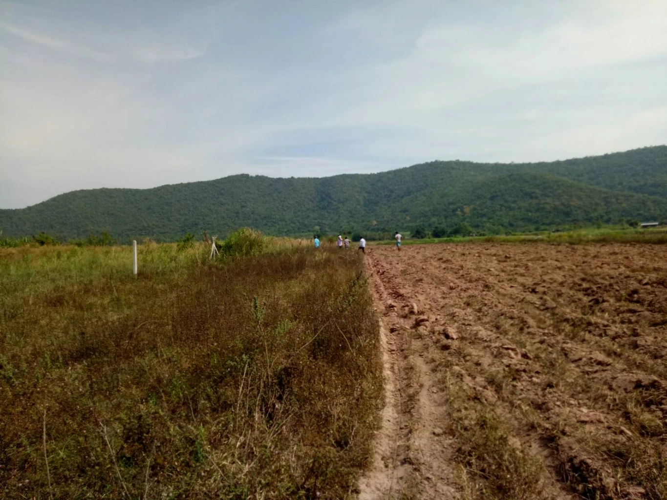 ทำความเข้าใจที่ “ดินส.ป.ก.” ซื้อ-ขาย-แลกเปลี่ยนได้หรือไม่