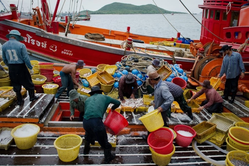 "บิ๊กป้อม" เร่งรัดแก้ไขปัญหาค้ามนุษย์ หวังไทยขึ้นเทียร์ 2 ในปี 65 นี้