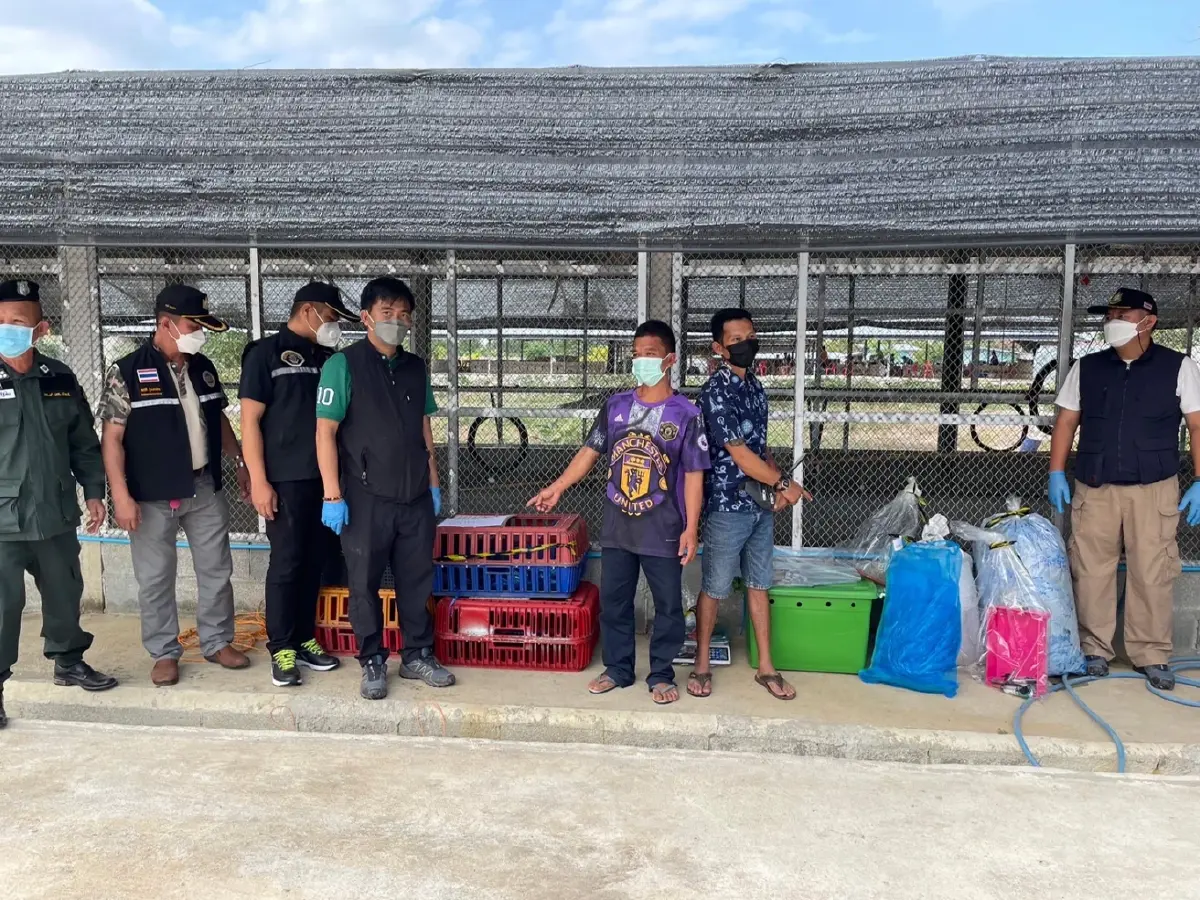 หน่วยพญาเสือ จับกุมขบวนการลักลอบล่าลิงส่งออกไปตปท.