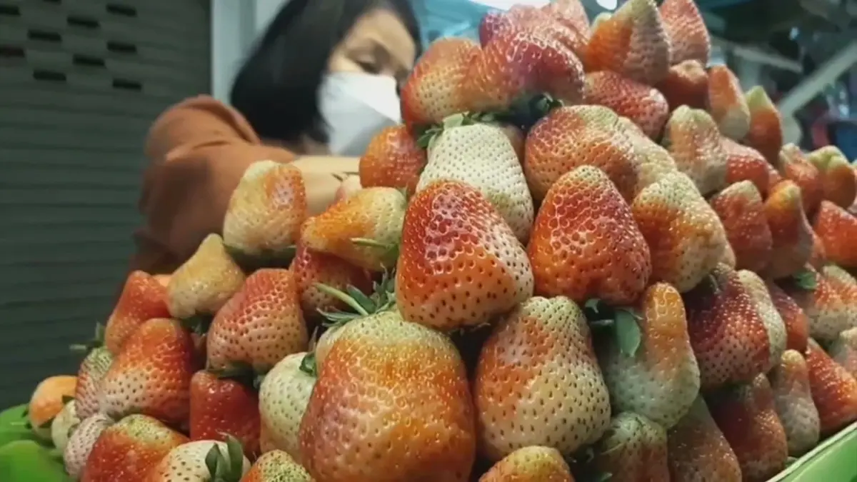 'สตรอว์เบอร์รี' สะเมิง โกยเงินกว่า 360 ล้าน