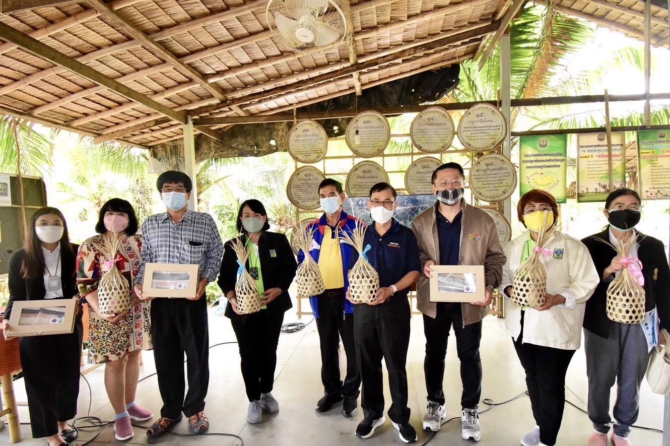 วช. ผนึก ม.หาดใหญ่ พลิกฟื้น “ป่าชายเลนทะเลสาบสงขลา” เสริมระบบนิเวศ