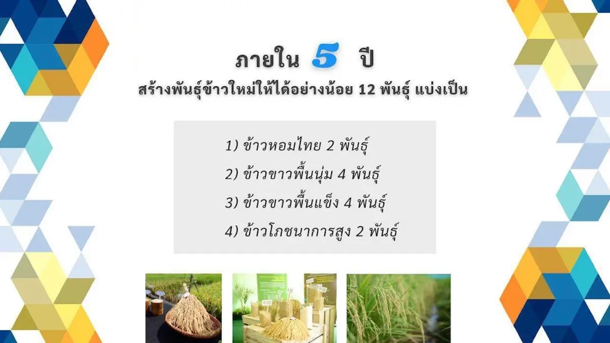 ศูนย์วิจัยข้าวปทุมธานี คว้ารางวัล 'ข้าวหอม'