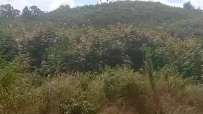 “ป่าไม้ชัยภูมิ” เผยที่ดิน “สมปอง - ชาวบ้าน"  อยู่ใน “เขตป่าสงวน” ยกหมู่บ้าน