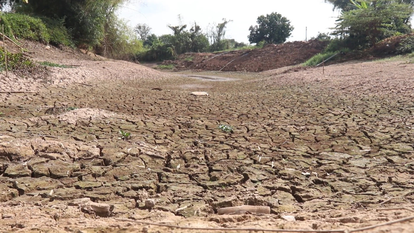 ผวาภัยแล้ง! เกษตรกรหยุดเลี้ยงปลาในกระชัง