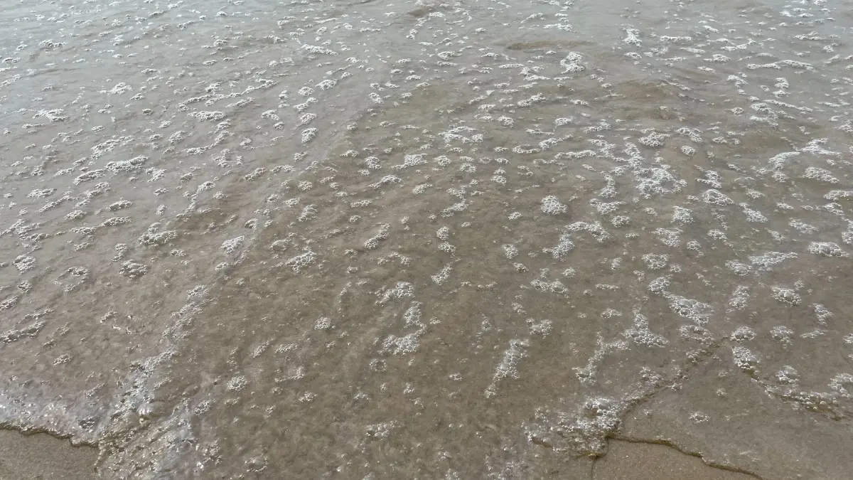 สภาพความเสียหาย บริเวณหาดแม่รำพึง