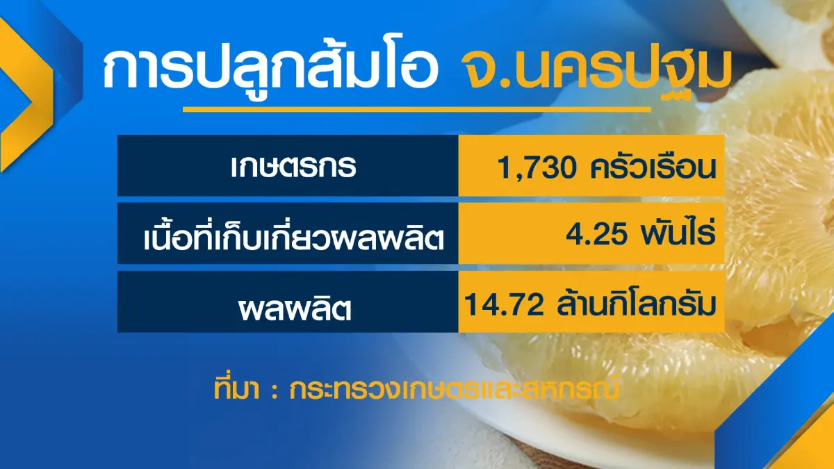 ส้มโอนครปฐมออเดอร์ทะลักหลังสหรัฐปลดล็อก