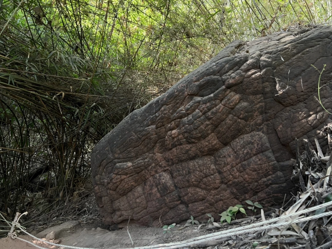 จัดระเบียบ "ถ้ำนาคา" จองผ่านแอปฯ QueQ เท่านั้น เช็กบัตรประชาชน รับวันละ 500 คน