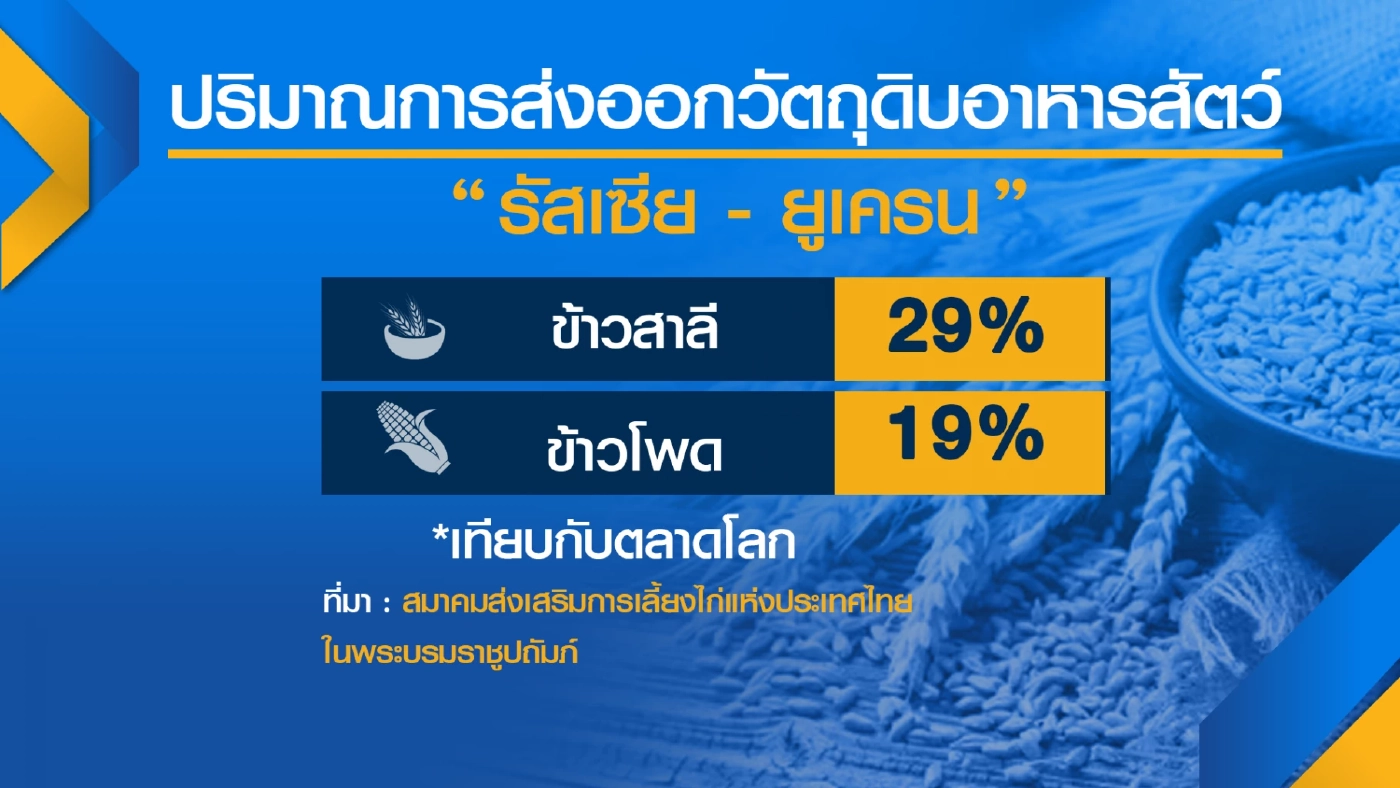 เปิดศึก รัสเซีย-ยูเครน ดัน 'อาหารสัตว์' ราคาพุ่ง