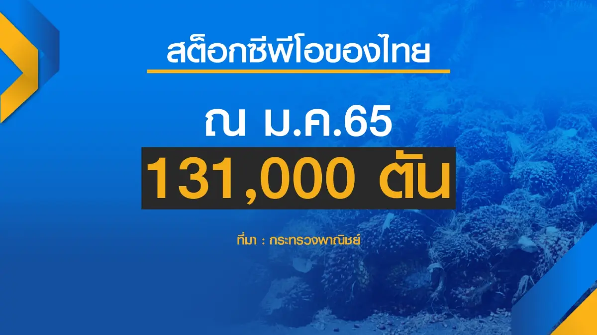 จับตาปรับสูตรไบโอดีเซลเหลือบี 5 กดดันราคาปาล์มดิ่ง