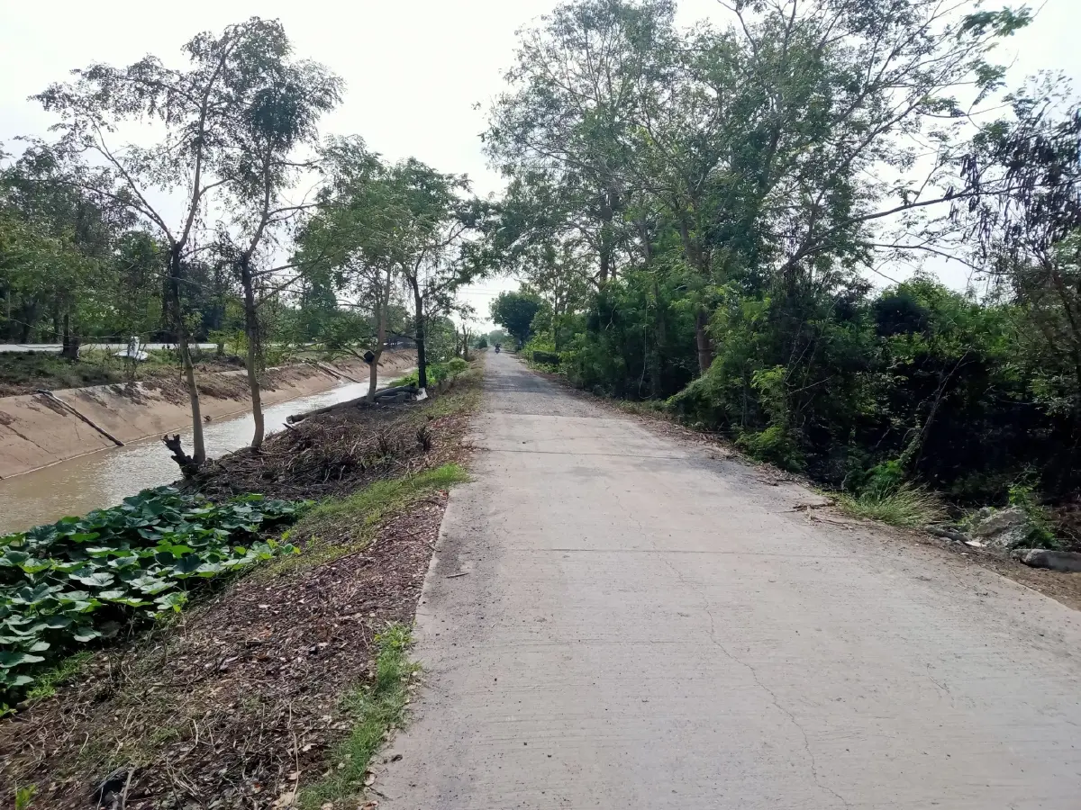 ชาวบ้านบางระจันร้องเรียน ถนนคันคลองมีฝุ่นละอองเพียบ