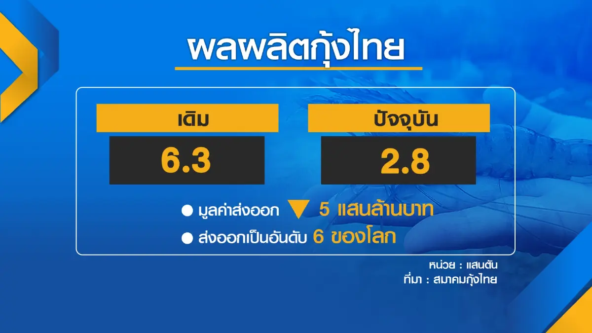 3 โรคระบาด 'กุ้ง' ฉุดผลผลิตวูบกว่า 5 แสนล้าน