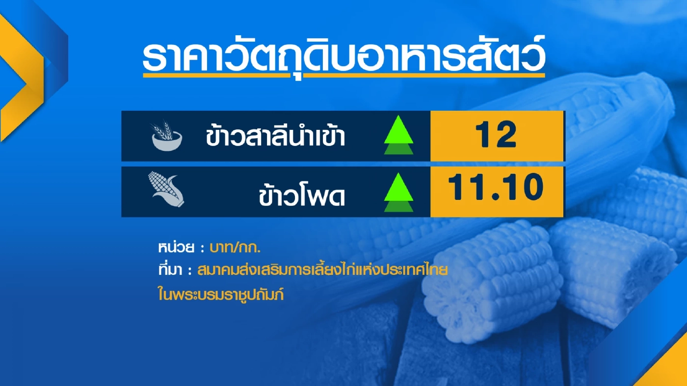 เปิดศึก รัสเซีย-ยูเครน ดัน 'อาหารสัตว์' ราคาพุ่ง