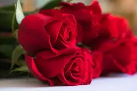 เปิด “5 อาหารเพิ่มพลัง(รัก)” เสริมเสน่ห์ เสริมสุขภาพในเทศกาลวันแห่งความรัก