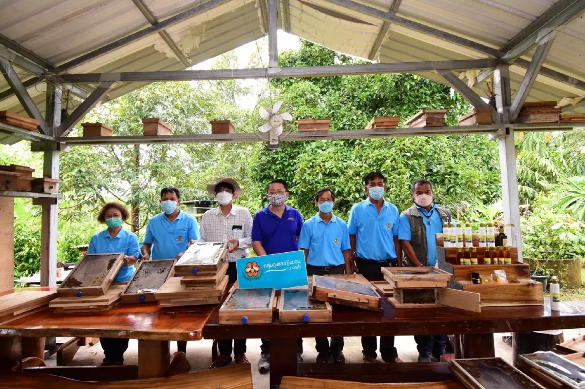 วช. นำสื่อมวลชน ดูความสำเร็จ งานวิจัยเลี้ยงผึ้งชันโรง วิสาหกิจชุมชน จ.สงขลา