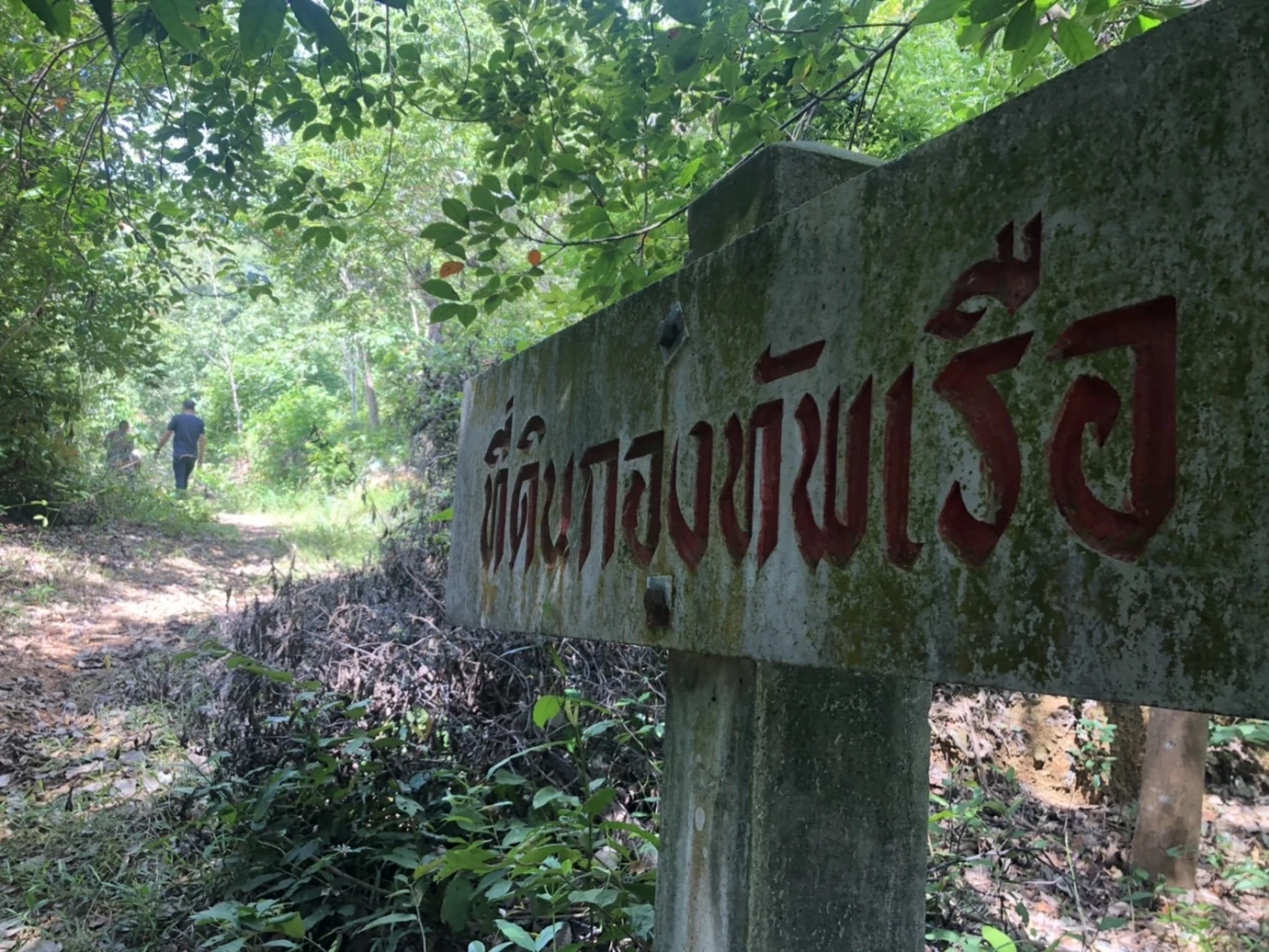 กรมศิลป์ฯแจ้งความกลุ่มทุนแผ้วถางโบราณสถานเมืองเก่าสงขลา