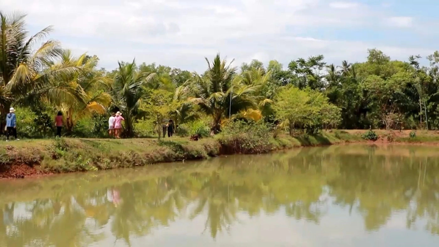 ปลิงทะเลตากแห้งราคาพุ่งกว่า 6 พันบาท/กก.