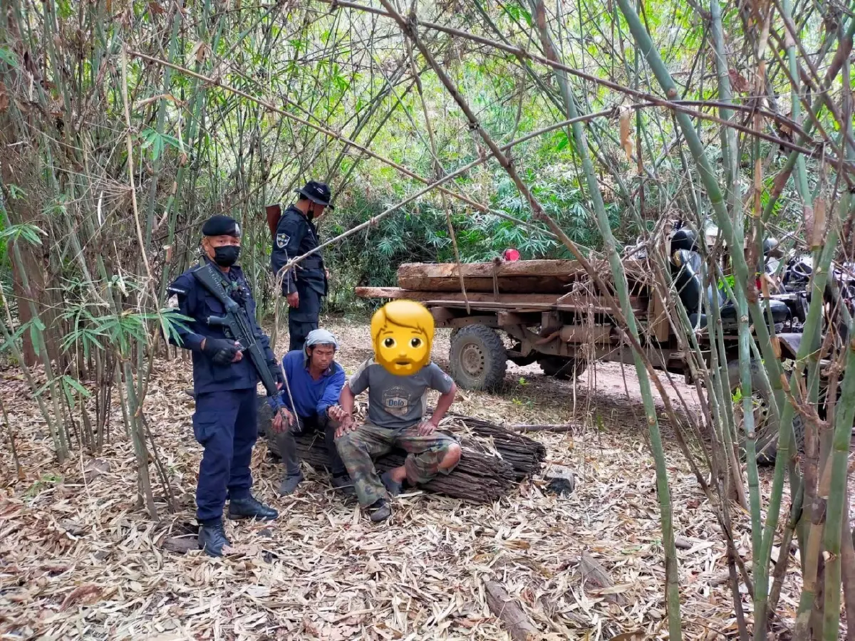 ปทส. ร่วม จนท.ป่าไม้จับมอดไม้ลอบตัดไม้หวงห้ามเขตสงวนแห่งชาติป่าแม่จางฯ