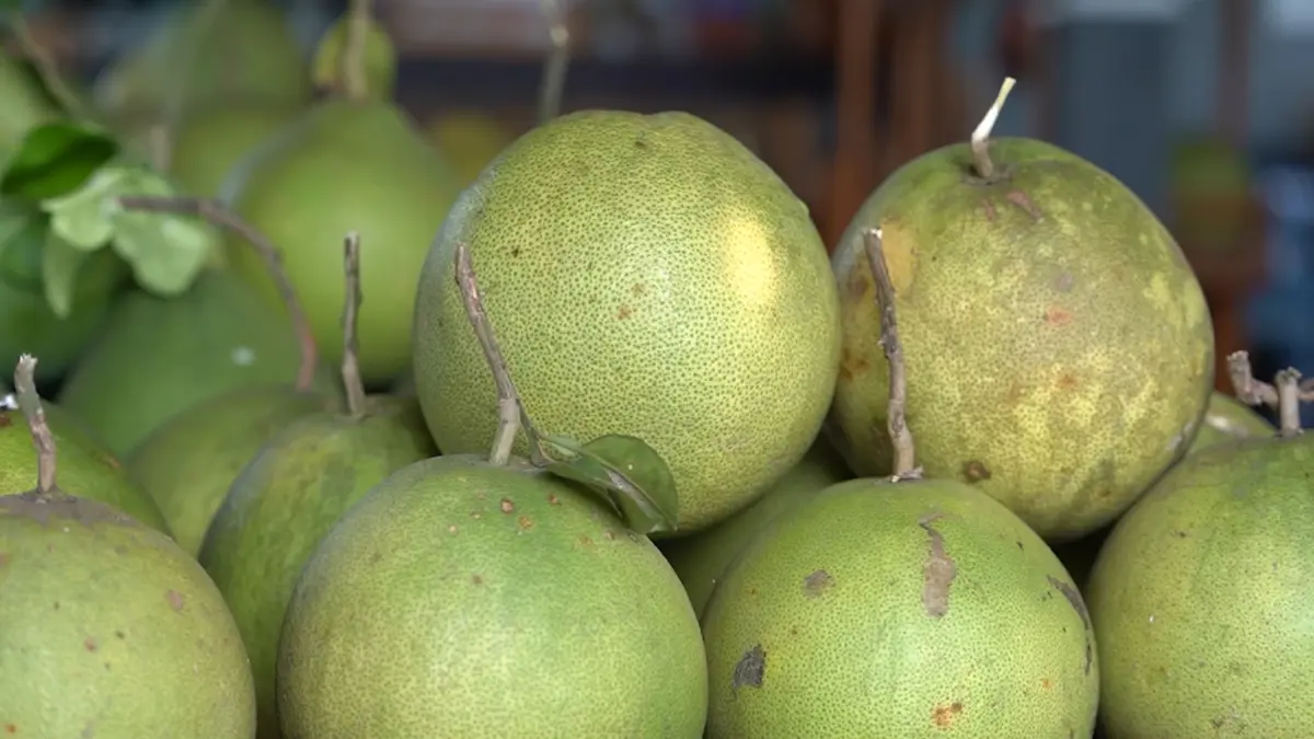 ส้มโอนครปฐมออเดอร์ทะลักหลังสหรัฐปลดล็อก