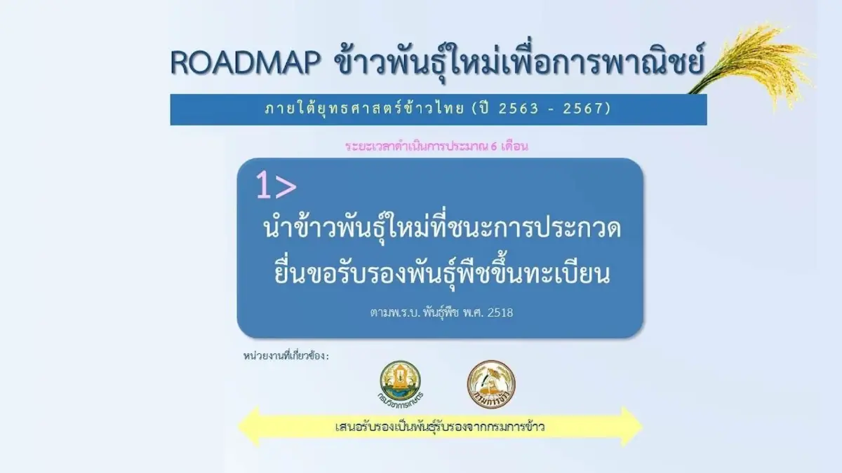 ศูนย์วิจัยข้าวปทุมธานี คว้ารางวัล 'ข้าวหอม'