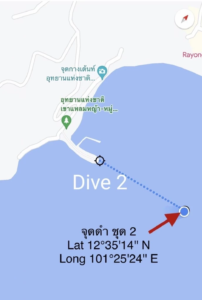 ตำแหน่งดำน้ำ บริเวณปลายแหลม เขาแหลมหญ้าทางทิศใต้น้ำลึก 6.6 เมตร