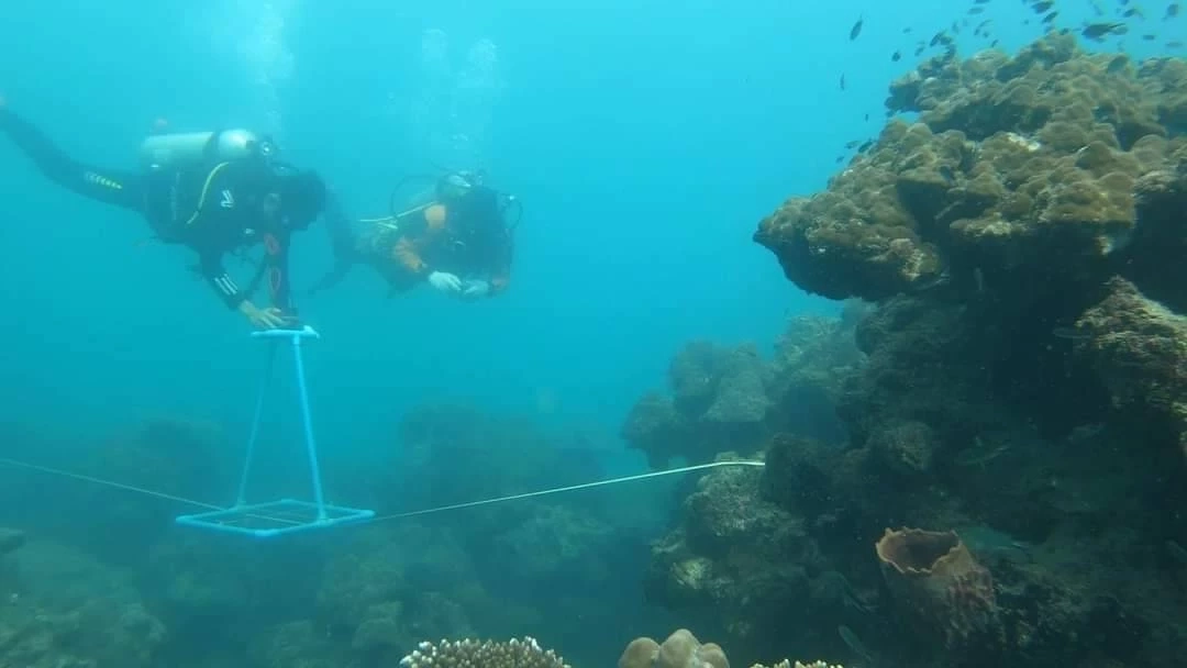 พื้นที่ใต้ทะเลรอบเกาะเสม็ดปลอดภัย ฉก.กร.642 ชี้  ไม่พบผลกระทบจากน้ำมันรั่ว