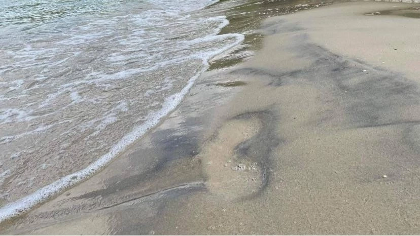 "ไทยสร้างไทย ระยอง" จี้ “รมว.ท็อป” เรียกค่าเสียหายบริษัทน้ำมันรั่ว