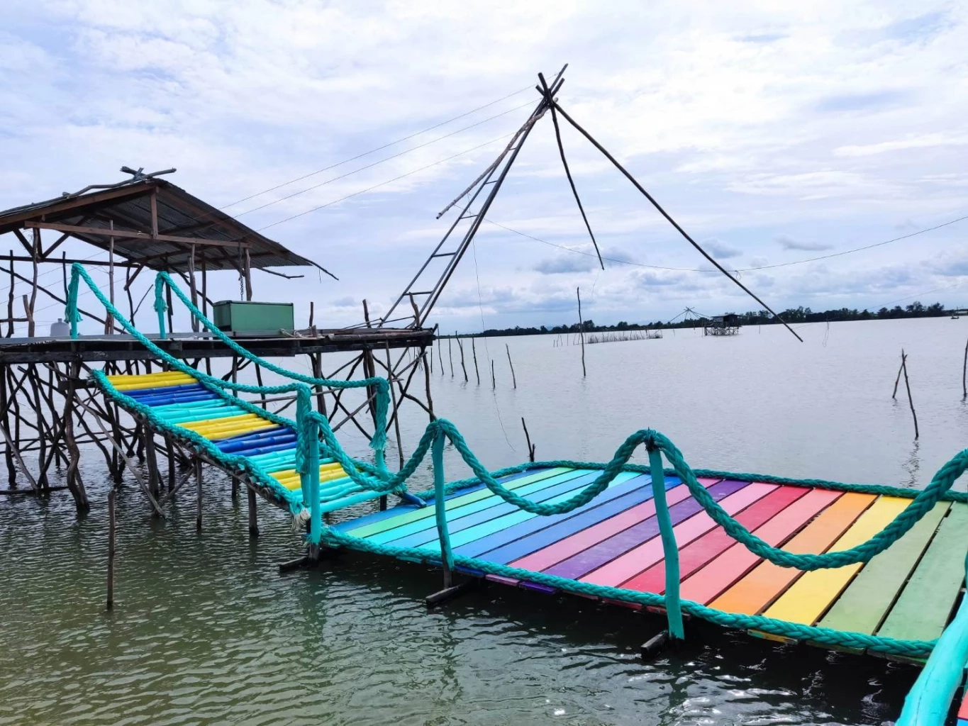 วช. ผนึก ม.หาดใหญ่ พลิกฟื้น “ป่าชายเลนทะเลสาบสงขลา” เสริมระบบนิเวศ