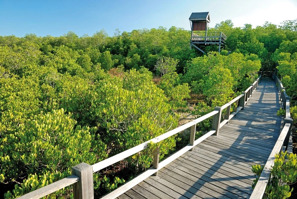 ทช.ร่วมปตท. เดินหน้าศูนย์ศึกษาเรียนรู้ระบบนิเวศป่าชายเลนสิรินาถราชินี