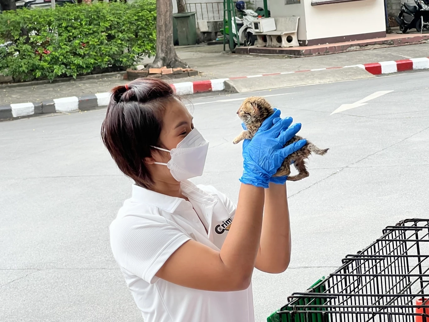 ตำรวจ ปทส. จับแก๊งค้าสัตว์ป่าและซาก พร้องของกลางจำนวนมากที่กาญจนบุรี