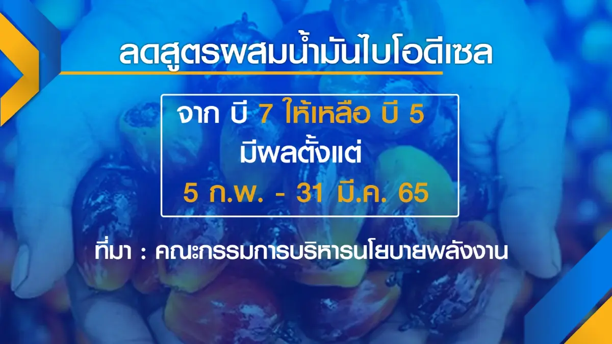 จับตาปรับสูตรไบโอดีเซลเหลือบี 5 กดดันราคาปาล์มดิ่ง