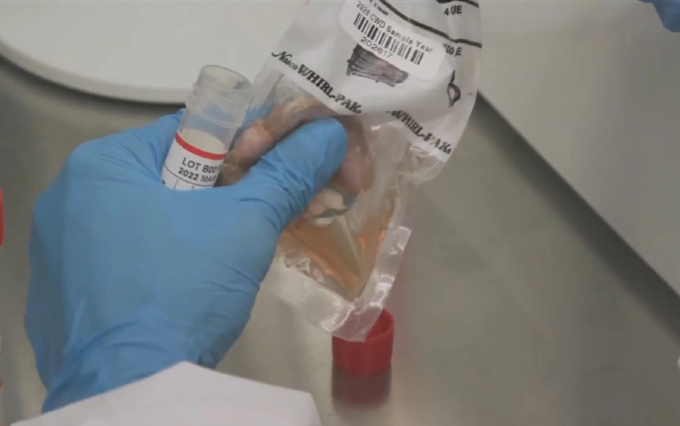 นิวยอร์กพบโอมิครอนในกวางป่า หวั่นเป็นแหล่งเพาะเชื้อไวรัสสายพันธุ์ใหม่