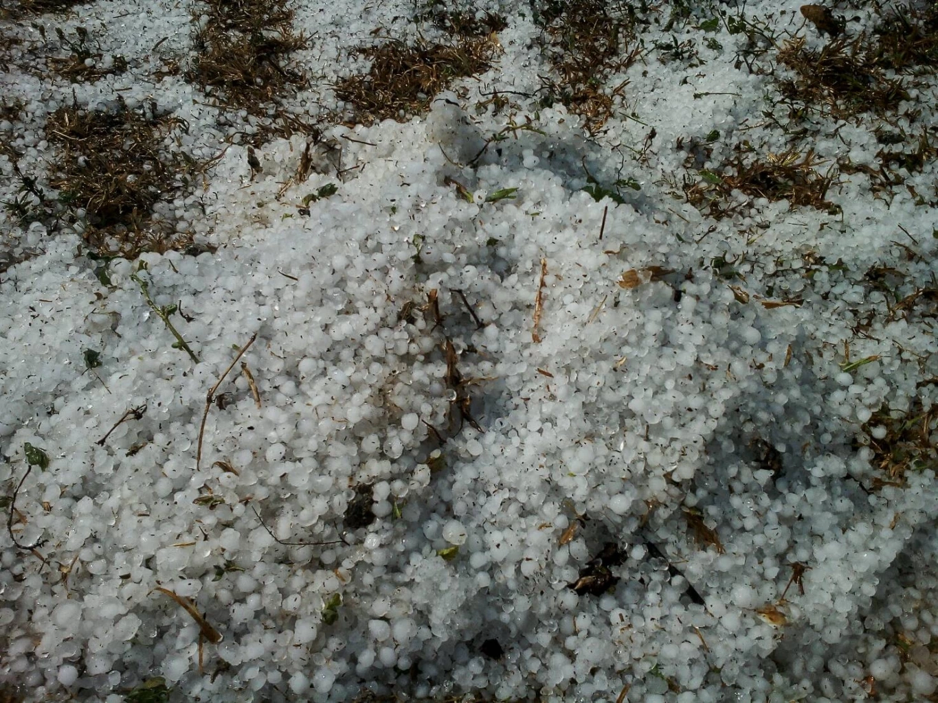 กรมอุตุฯ ประกาศฉบับ 4 เตรียมรับมือฝนฟ้าคะนอง ลูกเห็บตก อุณหภูมิลดฮวบ 5-9 องศา