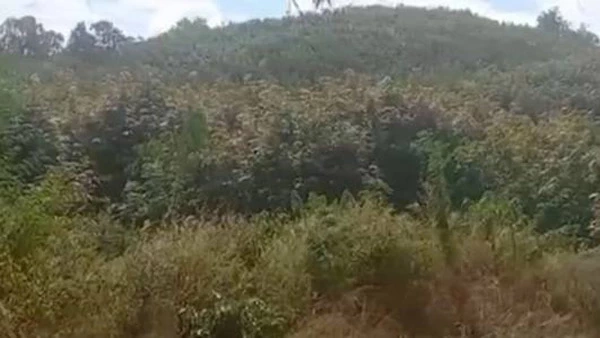 ตรวจสอบที่ดิน 300 ไร่ "ทิดสมปอง" ครอบครอง ส.ป.ก. 7ไร่