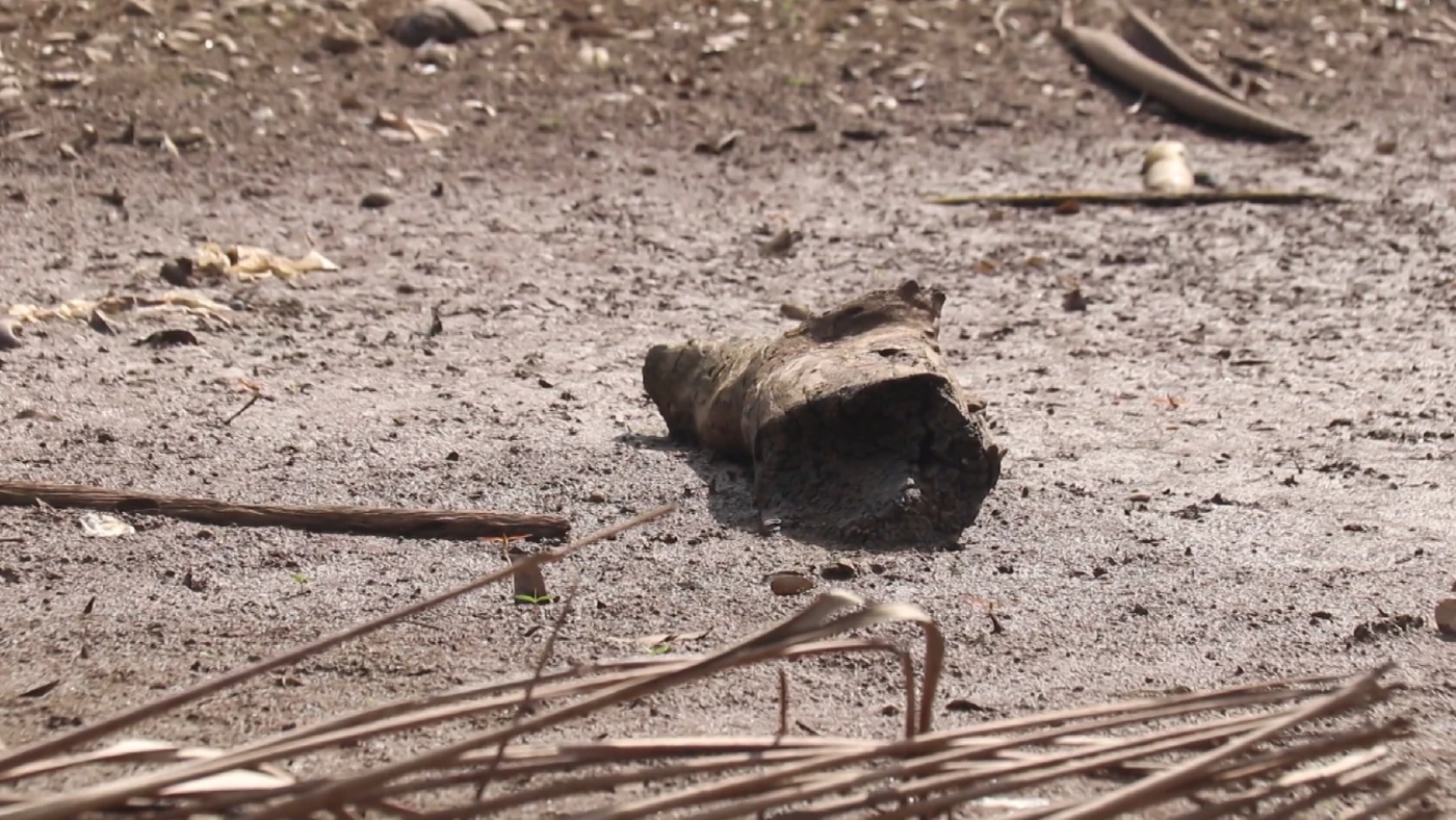 ผวาภัยแล้ง! เกษตรกรหยุดเลี้ยงปลาในกระชัง